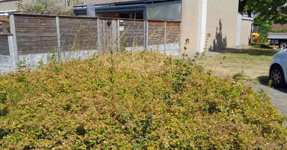 Groenonderhoud in Woensdrecht is onder de maat