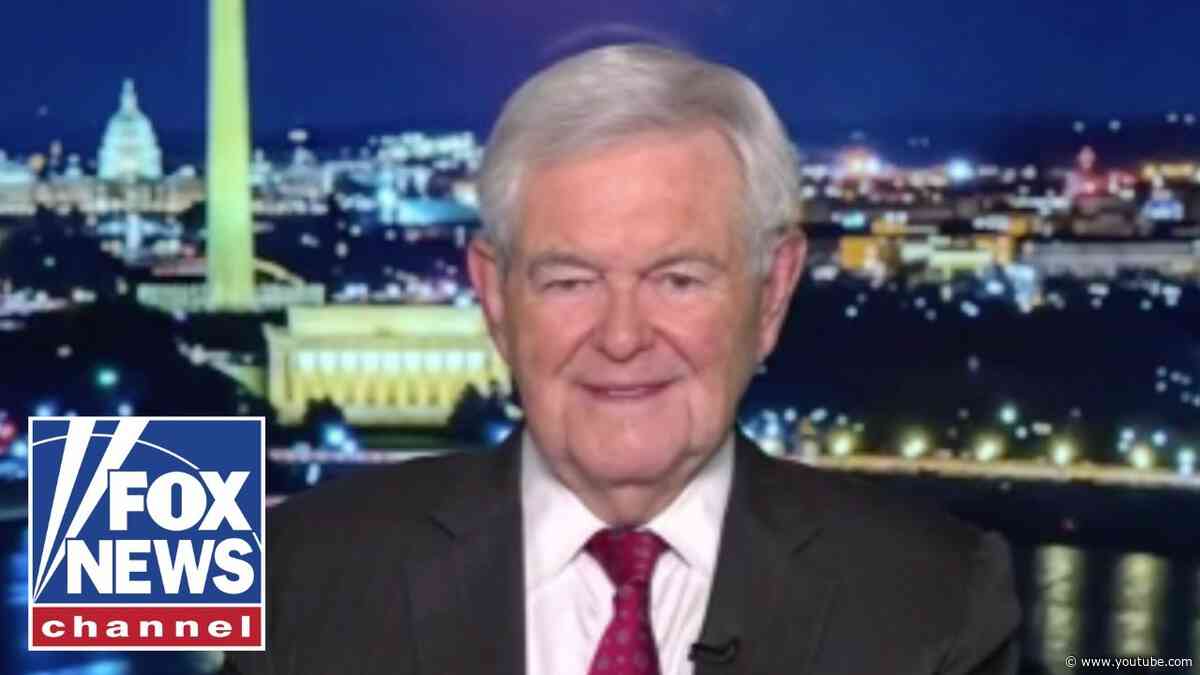 Newt Gingrich: How do they find these people?