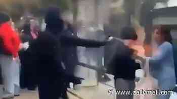 Rioter blasts woman in the face with a flamethrower and off-duty cop is kicked unconscious as French student protests descend into anarchy