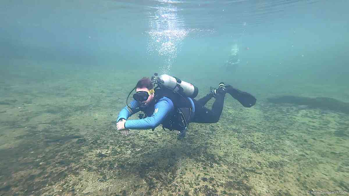 Dive into Blue Spring: An underwater adventure anyone can try