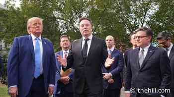 Trump’s 'self-policing' AI accord faces skepticism