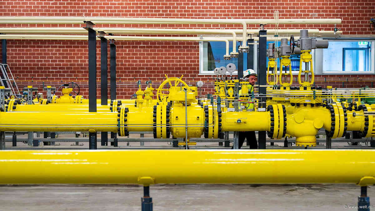 Crash der Gasnetze? Dieser Streit offenbart das Dilemma der deutschen Energiewende