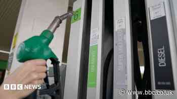 Fuel prices leave people asking 'what can we do?'