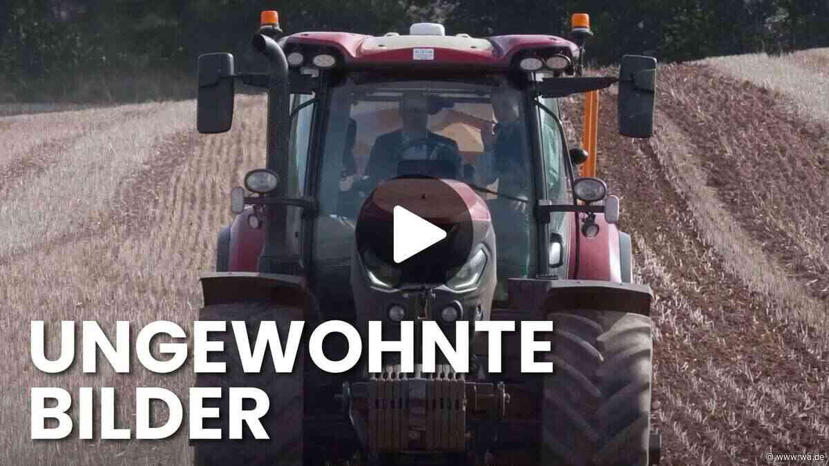 Royal auf dem Traktor: Prinz William legt selbst Hand an und wird zum Farmer