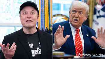 Unglaubliche Theorie: Hört Trump auf einen KI-Chatbot von Elon Musk?
