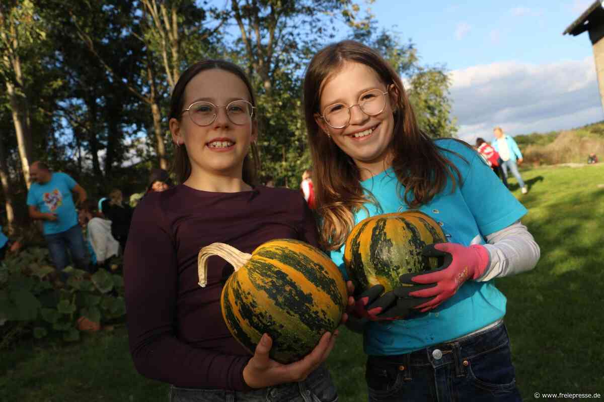 Weischlitz ist im Kürbisfieber: Das halbe Dorf packt vor dem großen Herbstfest mit an