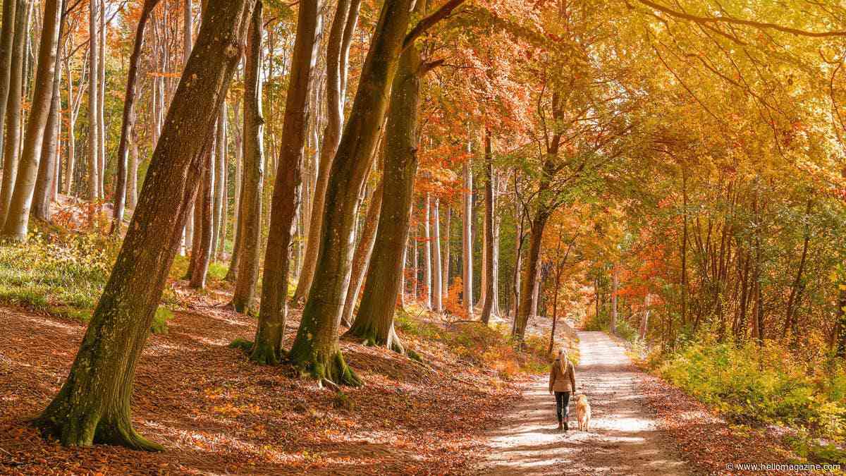 The best cosy pub stays with autumn walks from the front door