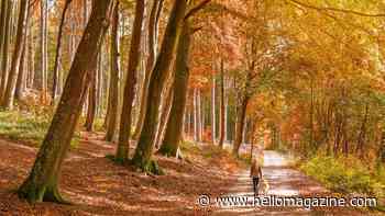 The best cosy pub stays with autumn walks from the front door