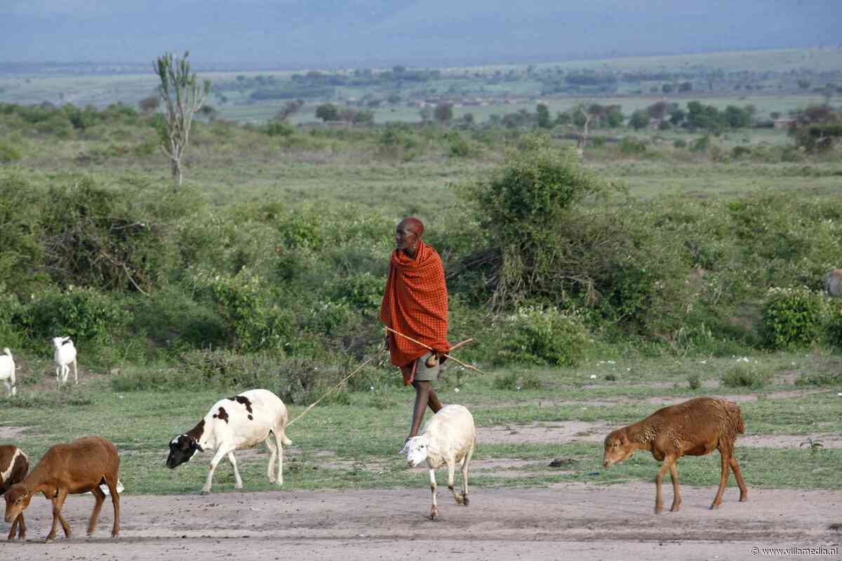 Keniaanse herders worden slachtoffer van CO2-handel omwille van Meta-projecten