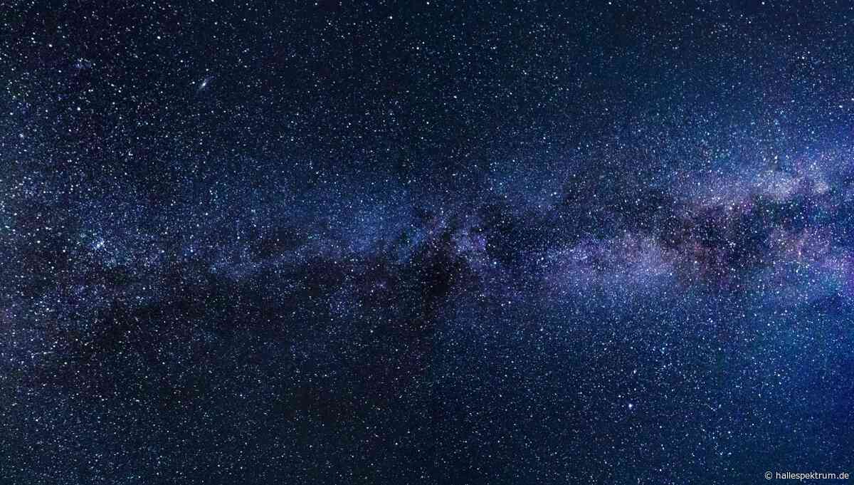 Nachtspaziergang zeigt Folgen der Lichtverschmutzung