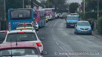 Concerns remain over impact of school transport changes but council says data shows no adverse impact