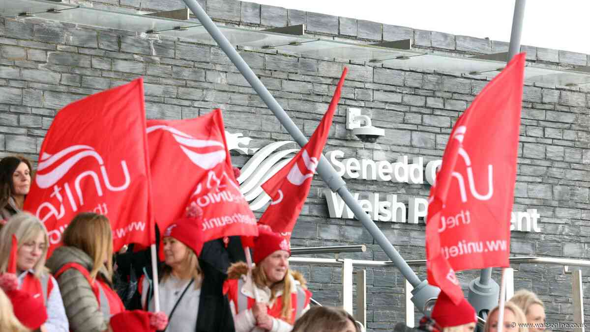 Merthyr Tydfil councillors call for urgent resolution to health visitor strike