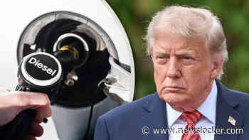 G7-landen brengen miljoenen vaten diesel op de markt, prijs daalt 7 procent