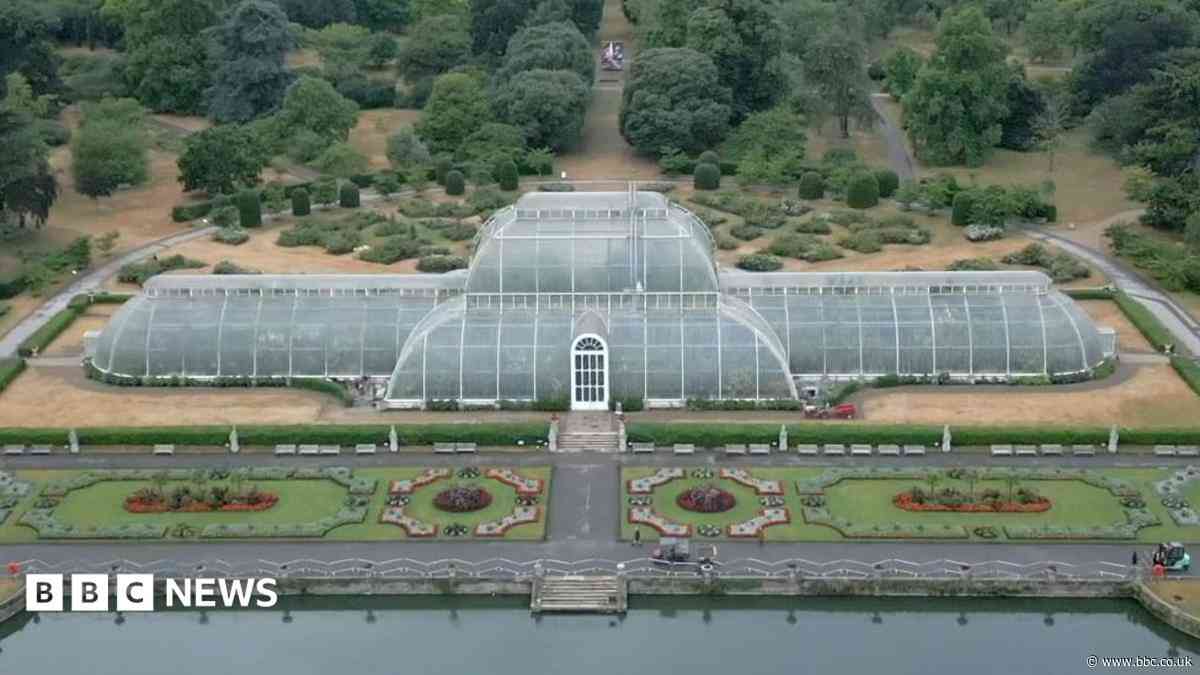 How to move 1,300 plants for Kew's Palm House mega makeover