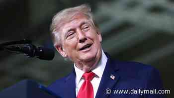 Trump scores release of 'massive amount' of Europe's oil in scramble to bring down gas prices ahead of the midterms