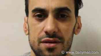 Algerian asylum seeker who spat at security guard after robbing John Lewis of designer handbags is jailed and may be deported