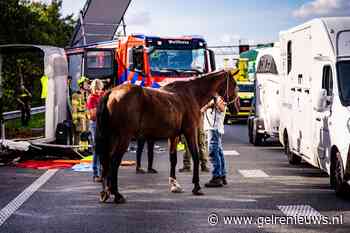 Chaos op snelweg: ongeval met paardenwagen