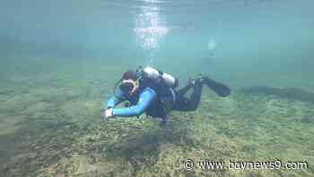 Dive into an underwater adventure at Blue Spring State Park