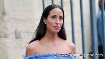 Ines de Ramon shows off her fun side as she flirts for the camera in sheer dress
