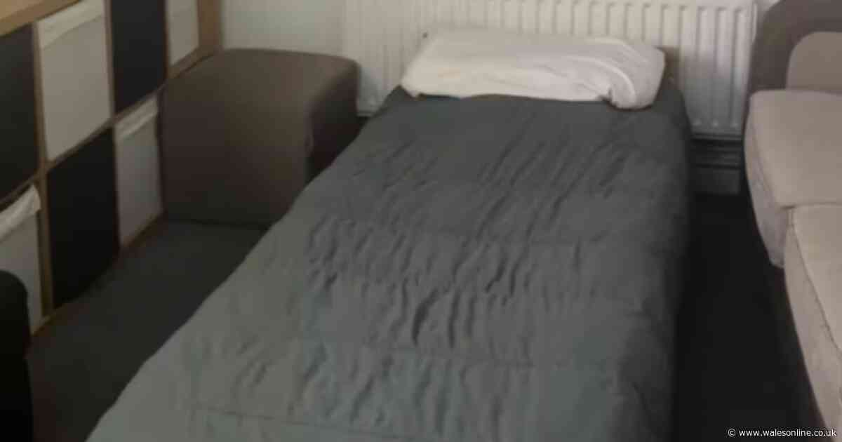 The Cardiff homes charging more than £5,000 to stay the night for Joshua v Fury