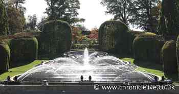 The Alnwick Garden turns 25 and still growing as Duchess outlines exciting new plans