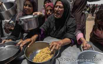 Conflicto en Oriente Medio deja 11 millones más de mujeres en inseguridad alimentaria, según la ONU