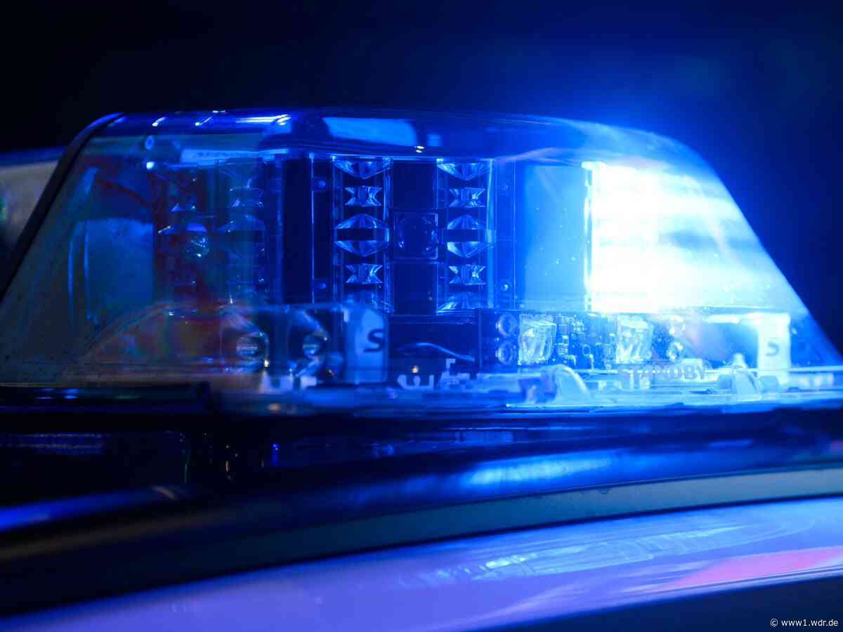 Zwei Männer mit Kriegswaffen festgenommen