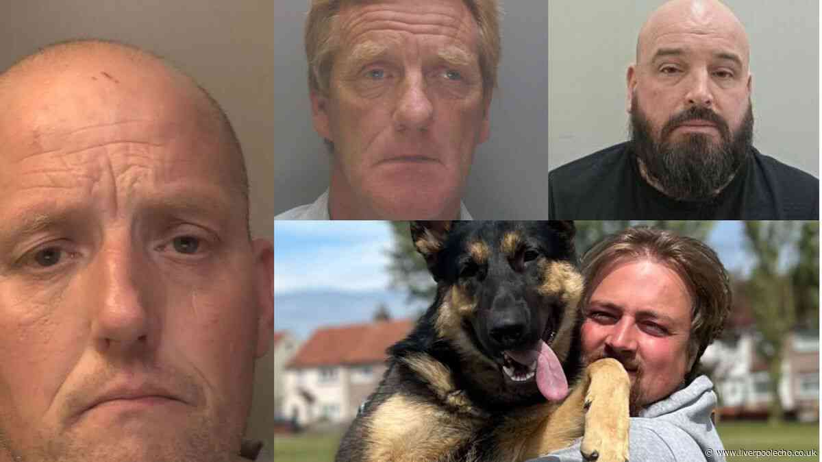 Six lorry drivers who got behind the wheel with deadly results