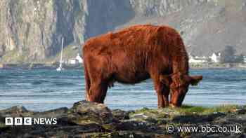 Your pictures of Scotland: 25 September - 2 October