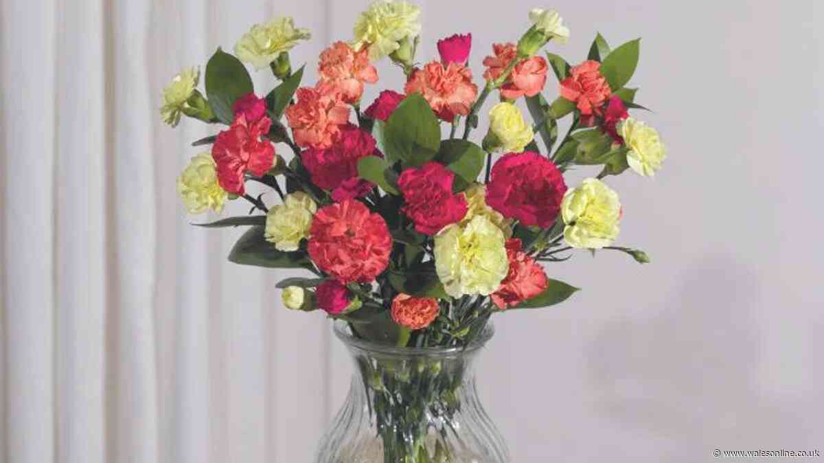 'My go-to' florist with 'beautiful' bouquets from £22 that 'last three weeks'