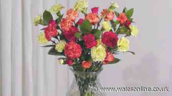 'My go-to' florist with 'beautiful' bouquets from £22 that 'last three weeks'