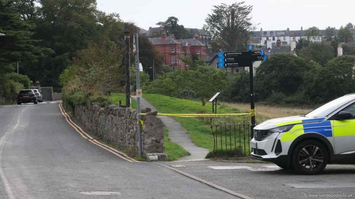 Direct phone line set up to help find mum of baby found dead in North Wales