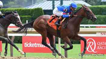 2 horses named in memory of Johnny Gaudreau running in the same race