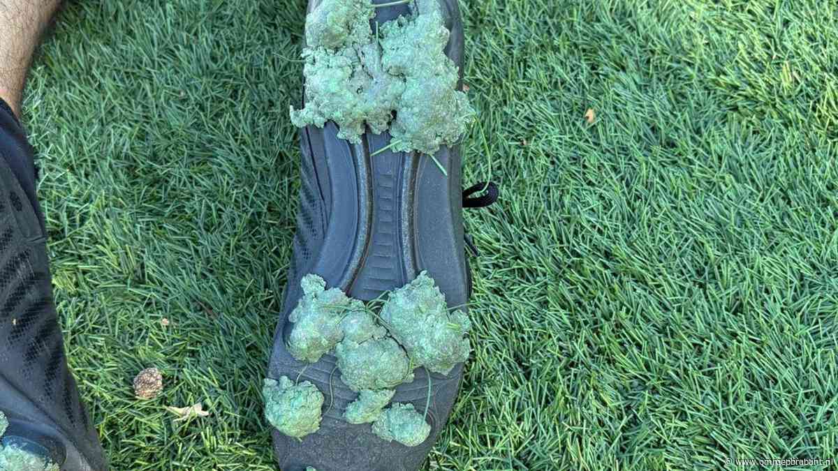 Deze spelers moeten korrels van noppen snijden door probleem met kunstgras