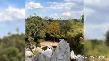 What's going on with the Zilker Botanical Garden?