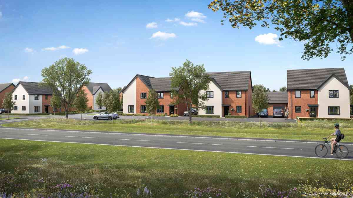 Plans to build 155 new homes next to major Newcastle housing estate are approved