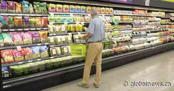 The next Canada Groceries and Essentials Benefit goes out on Monday