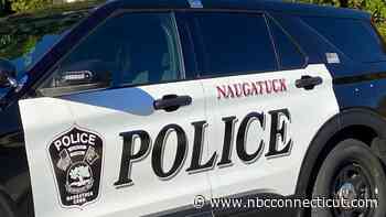 Naugatuck woman faces 16 counts of animal cruelty after dogs seized from home