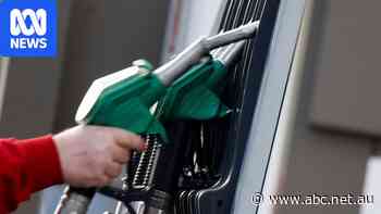 G7 to release 100 million barrels of oil in bid to curb soaring prices