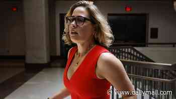 Former Senator Kyrsten Sinema's love triangle saga takes dark turn as her bodyguard ex is arrested over gun plot
