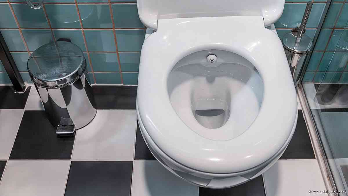 E-cigarettes, mobile phones and condoms: Experts reveal the bizarre items that Brits are flushing down the toilet - costing millions each year to clean up