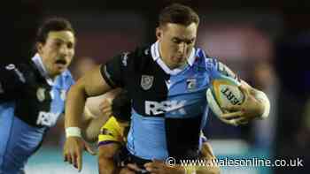Cardiff seal second win in a row against Zebre
