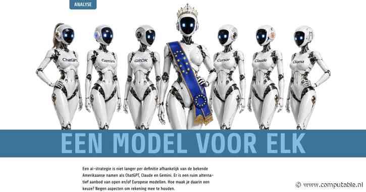 Een model voor elk