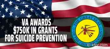VA awards $750K in grants for suicide prevention