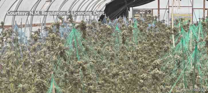 New Mexico Cannabis Enforcement Bureau investigates illegal operations and unsafe products
