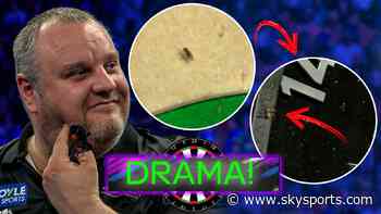 First a fly interrupts play, then a spider tries too!
