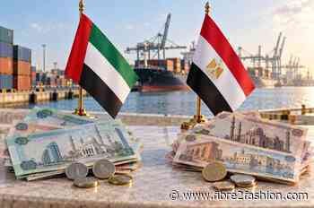 UAE, Egypt renew $1.36 bn currency swap for five years