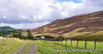 New agricultural opportunity opens to aspiring farmers in secluded Scottish glen