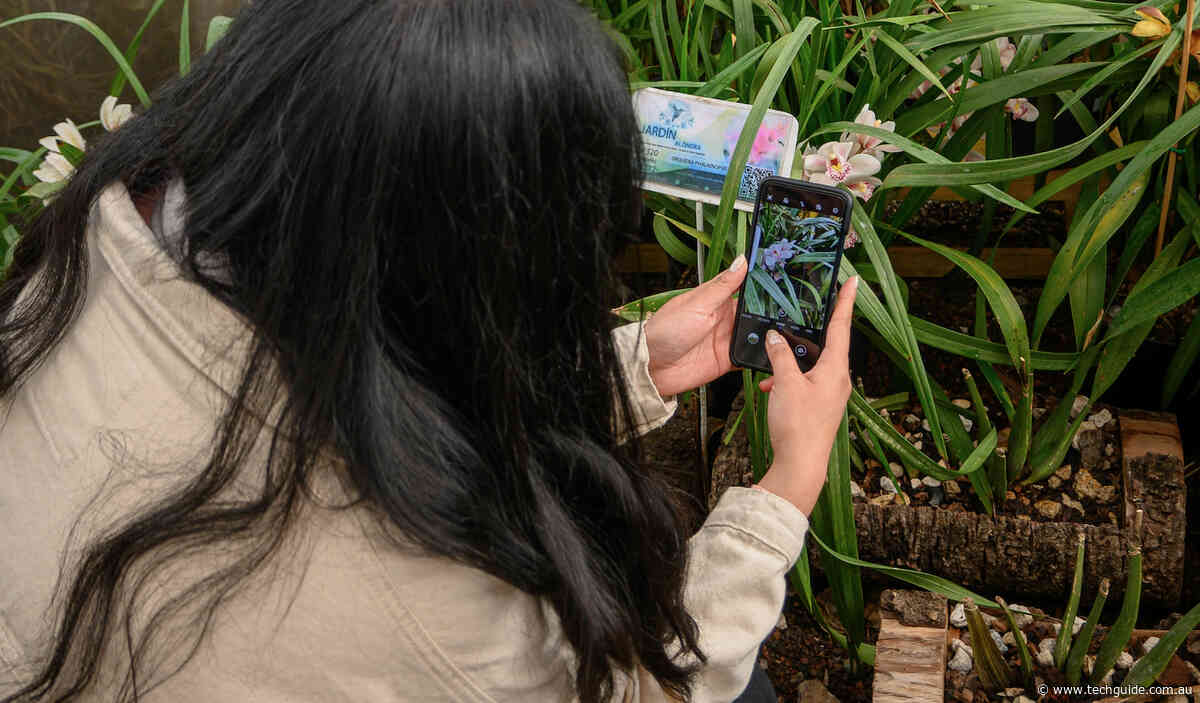 Top 5 Apps to Identify Plants on Your Phone