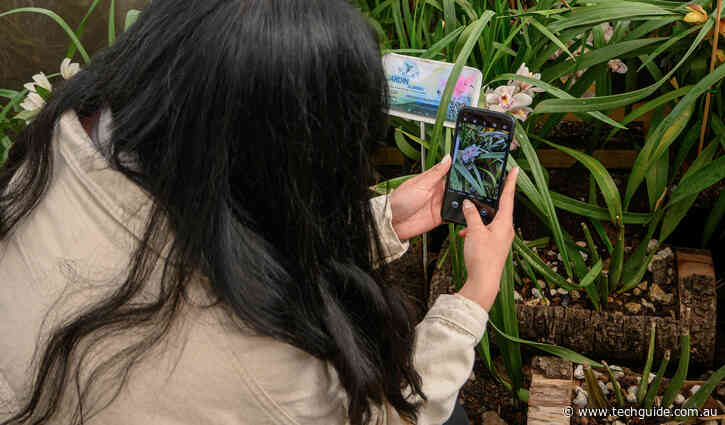 Top 5 Apps to Identify Plants on Your Phone